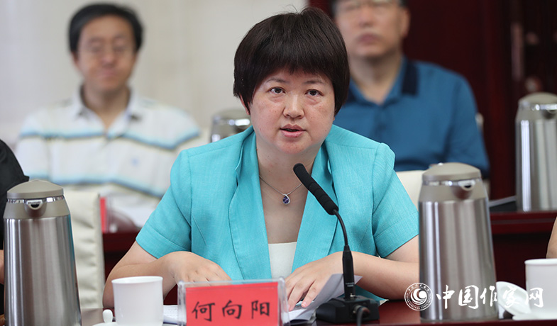 7月28日，評(píng)獎(jiǎng)辦公室主任何向陽在全體會(huì)上做關(guān)于參評(píng)作品申報(bào)情況及其它事項(xiàng)說明