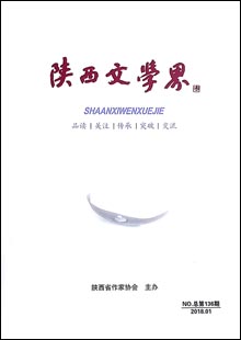 《陜西文學(xué)界》 《陜西文學(xué)界》是與中央級(jí)文化單位、全國(guó)各省文聯(lián)、作協(xié)交流，覆蓋陜西省、市、縣政界主要領(lǐng)導(dǎo)和文聯(lián)負(fù)責(zé)人、省內(nèi)知名高校和大企業(yè)、全省作家的具有高端讀者群、影力廣泛的文學(xué)通訊、交流雙月內(nèi)刊，于1979年創(chuàng)刊，原名為《文學(xué)簡(jiǎn)訊》，后更名為《陜西文學(xué)界》，16開(kāi)80碼，內(nèi)容豐富……[詳細(xì)]