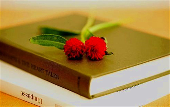 北京出版集團(tuán)世界圖書和版權(quán)日紀(jì)念講壇：閱讀，溫潤心靈