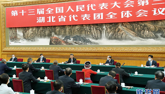 習(xí)近平參加湖北代表團審議