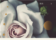 見言讀書會｜“以心證史”：魏微小說研讀她能深入每個人的內(nèi)心世界去，去體悟、感受人物的心靈世界……[詳細(xì)]