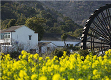 創(chuàng)意閱讀與寫作工作坊｜今天，我們?nèi)绾蚊鎸π聲r代的鄉(xiāng)村？從與鄉(xiāng)村有關(guān)的人物開啟敘述，再指向具體村落，展現(xiàn)鄉(xiāng)土文化……[詳細(xì)]