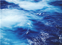 【輯二】東流去：這藍(lán)色一刻不停地沖刷著岸弄丟了愛情/只剩下獨(dú)自一人，越來越孤零/大片野花初開，一朵一朵，全都愛我/[詳細(xì)]