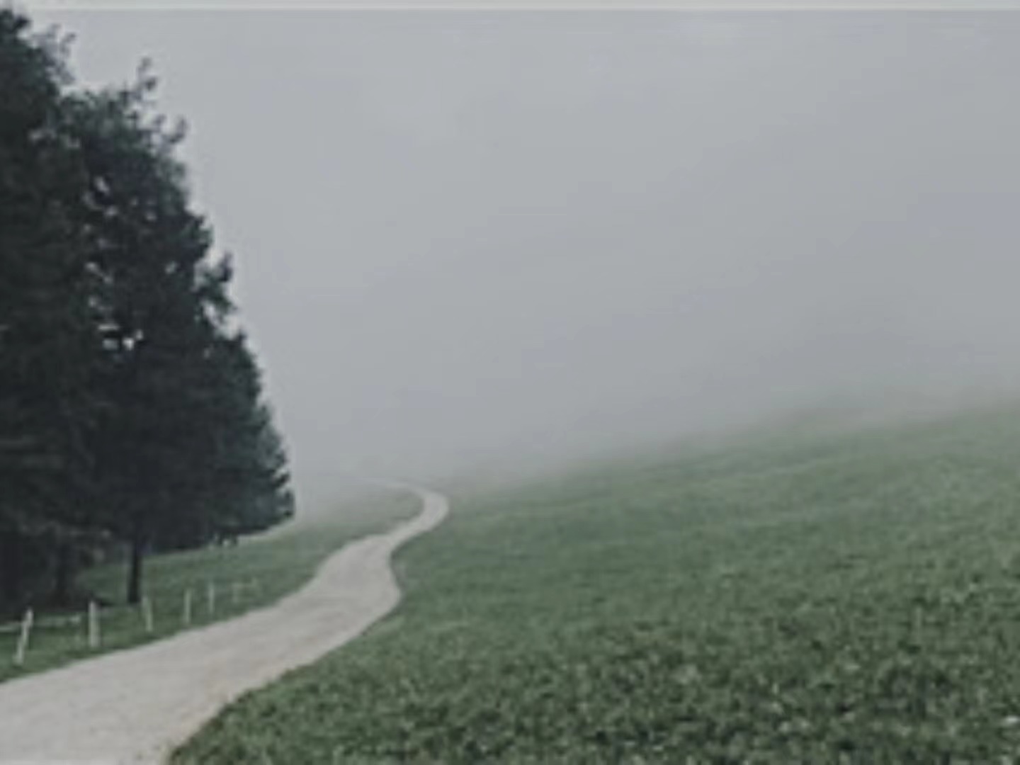 【輯一】南部山區(qū)：有時(shí)在大風(fēng)中，群山似乎在奔跑走在山間公路上/山崖在左，溪水在右/轉(zhuǎn)過兩座山，山崖到了右邊，溪水來到左邊[詳細(xì)]