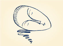 《春夢——兼致張棗》“你慢慢變成了義山，李煜/穿長衫的張棗，那個黑著臉/在水邊迷路，在木梯子前發(fā)呆/在南山的梅樹下失憶”[詳細(xì)]