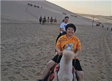 王熠：厚重和爽感，共同繪就“數(shù)字敦煌”也許我不再能為這片土地多做點什么，但我還能寫寫那些常年守護這片土地的人……[詳細]