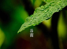 《谷雨》過了清明，就是谷雨。村莊里，田野里，村路上，草木間，人家的院落里，人們的臉上，到處都是春天的閑意思了。[詳細]