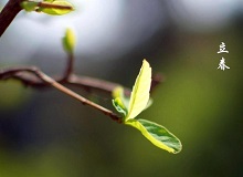 《立春》大年三十這一天，天難得放晴了。村子里到處明晃晃的，陽光映照著雪地，仿佛琉璃世界。[詳細]