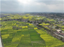 《家山》：生生不息的民族史詩　　在我的觀察當中，很多傳統(tǒng)的鄉(xiāng)村社會的東西，現(xiàn)在還是保留著，傳統(tǒng)文化也保存得比較好……[詳細]