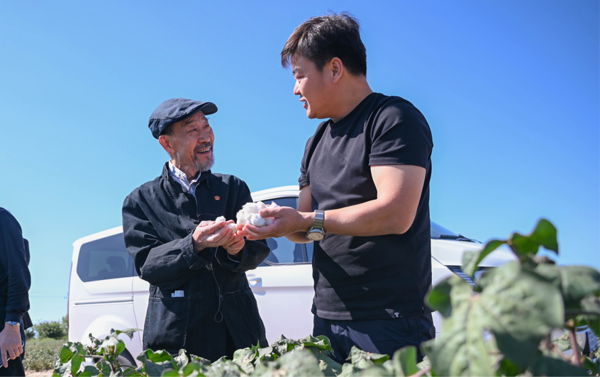在瑪納斯縣北五岔鎮(zhèn)田家井村的棉田里，電影《援疆干部》主演李雪健正在了解棉花生長及電影取景地相關(guān)情況。