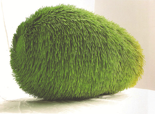 豪豬(柳條 2010年) 覃大立 作