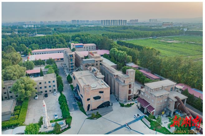 賈家莊“種子影院”。