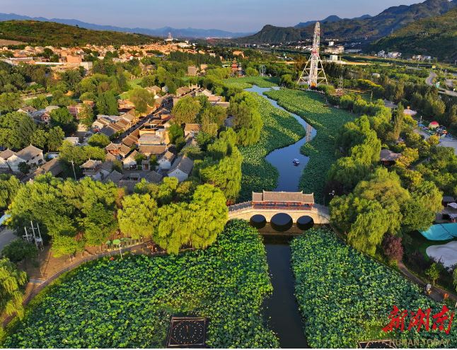 秦嶺深處的棣花古鎮(zhèn)，游人在連片荷塘中泛舟。