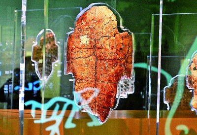 河南安陽殷墟博物館新館內(nèi)展出的刻辭卜甲。 新華社記者 李安攝 