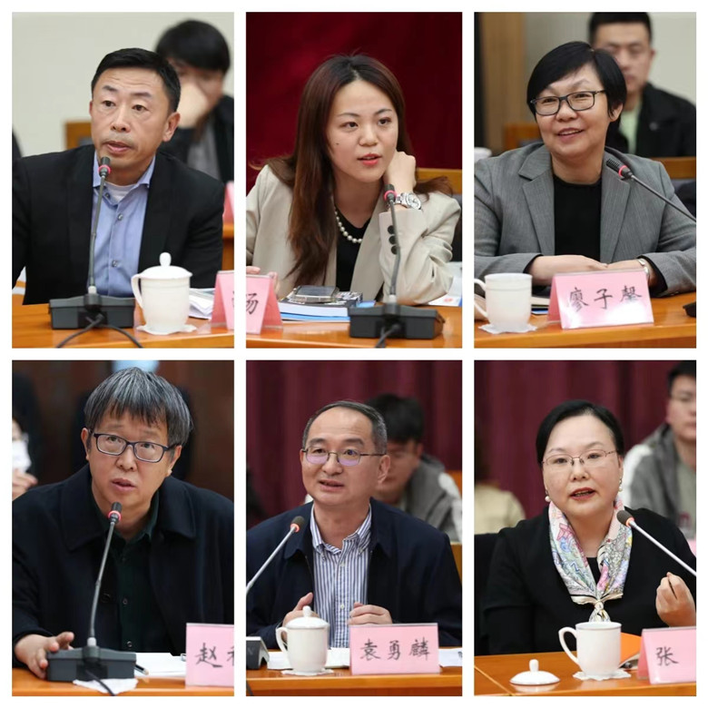 游江、程皎旸、廖子馨、趙稀方、袁勇麟、張莉發(fā)言