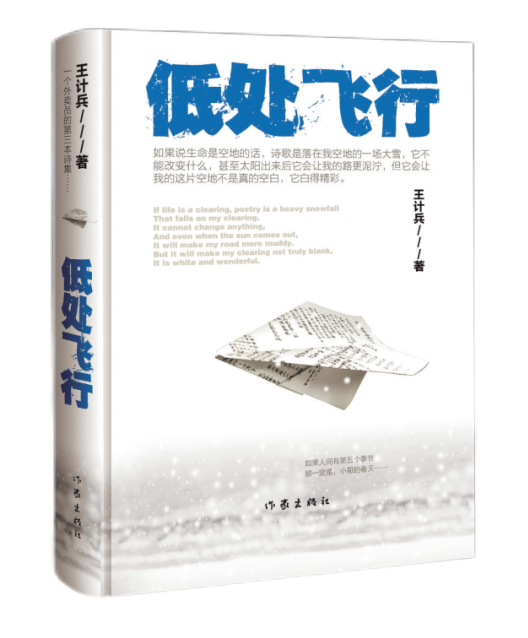 《低處飛行》 王計(jì)兵 著 作家出版社