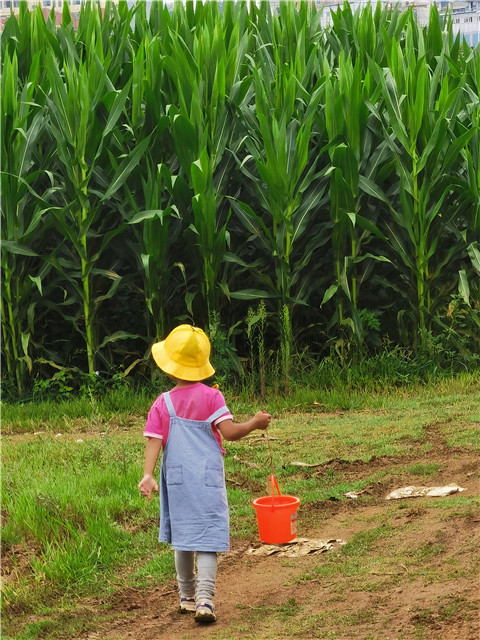 孩子們的背影。劉雪韜周末經(jīng)常和愛人一同陪伴孩子去他們喜歡的地方騎車、玩耍。對(duì)他們來說，相聚的時(shí)光遠(yuǎn)比一些熱鬧的應(yīng)酬重要。
