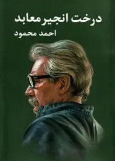 《菩提樹(shù)》封面