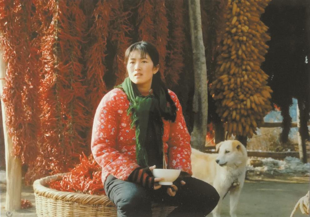 劉恒擔(dān)任編劇的電影《秋菊打官司》曾獲得第49屆威尼斯電影節(jié)金獅獎(jiǎng)、第13屆中國(guó)電影金雞獎(jiǎng)最佳故事片獎(jiǎng)等獎(jiǎng)項(xiàng)。