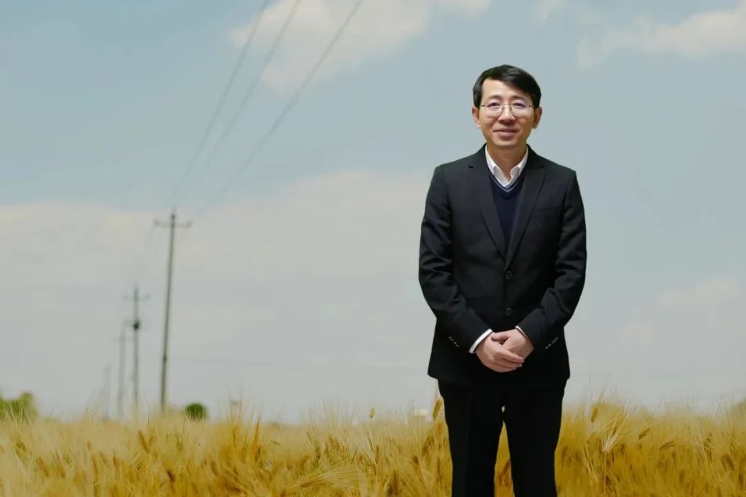 羅長青，男，1981年生，湖南衡陽人；博士畢業(yè)于南京大學，曾在復旦大學中國語言文學博士后流動站從事博士后研究，曾任貴州師范大學文學院教授，博士研究生導師；現(xiàn)為廣東外語外貿(mào)大學中國語言文化學院教授；主要從事中國當代文學與文化現(xiàn)象研究。