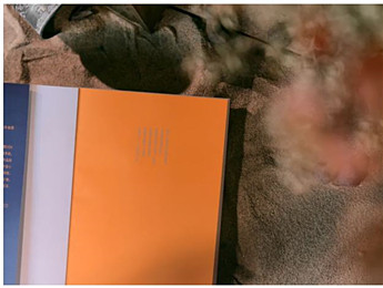 時代巨變的激流中，青春生命的成人禮