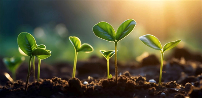 AI：少兒出版的“智”勝之道？