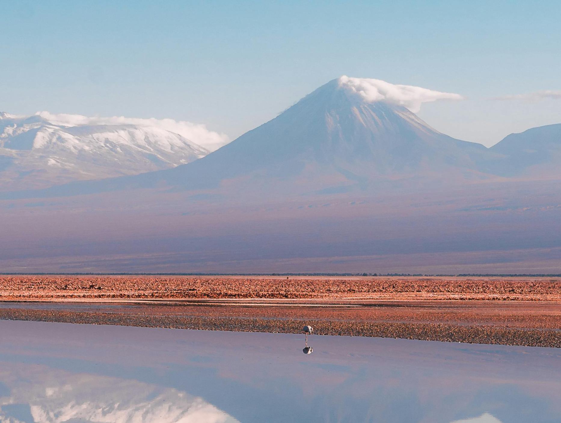 回眸2024：翻閱長(zhǎng)篇小說的三種方式