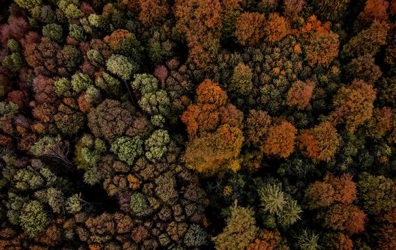 2024中國(guó)文學(xué)盤點(diǎn)：創(chuàng)獲豐富多樣 景象令人欣喜