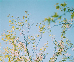 談文創(chuàng)設(shè)計中的情感導(dǎo)向：傳遞文化情感和情緒價值