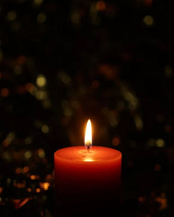 徐虹雨：致蔡桃兒