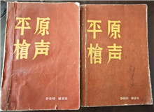 從未遠(yuǎn)去的“平原槍聲”　　合上《平原槍聲》最后一頁(yè)，初聽(tīng)現(xiàn)實(shí)中肖張鎮(zhèn)這個(gè)地名，心頭不禁一震：莫不是小說(shuō)中的肖家鎮(zhèn)？[詳細(xì)]