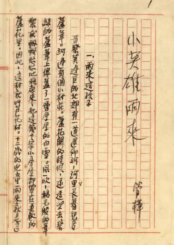 暗夜中的雨來(lái)，眼睛閃閃發(fā)亮　　在那場(chǎng)事關(guān)中華民族生死存亡的戰(zhàn)爭(zhēng)中，為了保家衛(wèi)國(guó)，華北平原涌現(xiàn)出許許多多的小英雄，而這之中，“小英雄雨來(lái)”是最為人們所熟知的英雄之一，而我們喜愛(ài)的這個(gè)“雨來(lái)”卻是作者管樺將眾多現(xiàn)實(shí)中的抗日小英雄“捏合”創(chuàng)作而成，一經(jīng)問(wèn)世便受到全國(guó)讀者的熱捧，直到現(xiàn)在。[詳細(xì)]