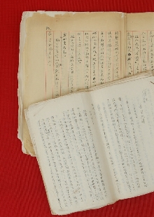 一份日記，如同顯微鏡下的“抗戰(zhàn)長(zhǎng)城”　　1939年，作家戰(zhàn)地訪問(wèn)團(tuán)北上前線途中，盡管危險(xiǎn)重重，又緊張又勞累，王禮錫仍然想盡辦法詳細(xì)記錄下訪問(wèn)團(tuán)的活動(dòng)和他自己的生活，或許他未曾想過(guò)這些文字會(huì)穿越戰(zhàn)火，歷經(jīng)風(fēng)風(fēng)雨雨八十余載，成為一把打開(kāi)抗戰(zhàn)歷史的特殊密鑰。[詳細(xì)]