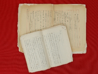 筆醒山河 | 《筆征日記》