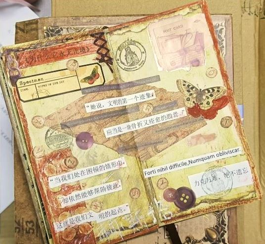 閱讀摘抄手賬，來(lái)源：讀者“朝夕昭奚”微博