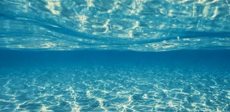 異世界的“小日?!迸c“大格局”——晉江文學城近半年網(wǎng)文新探